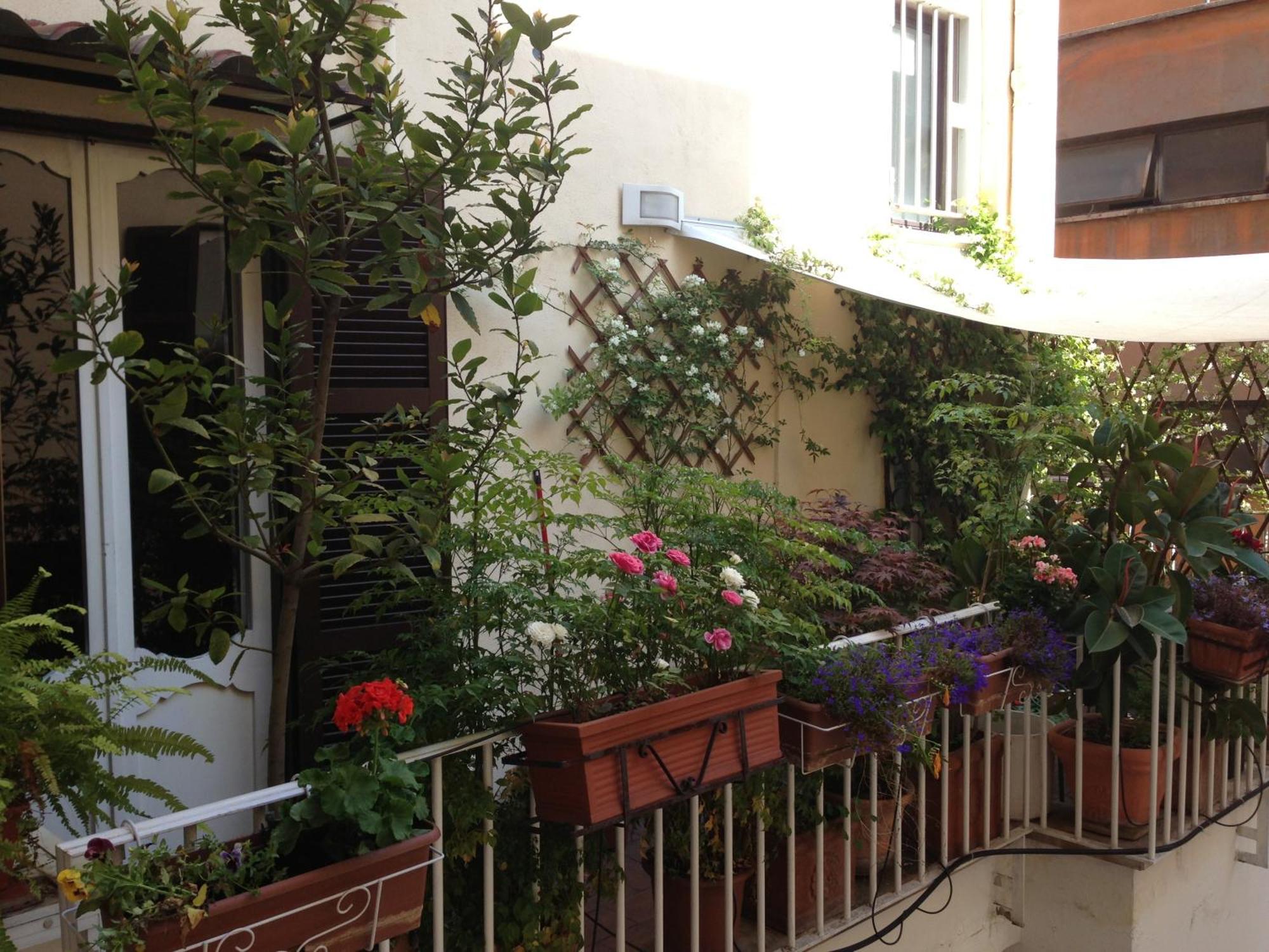 로마 릴레 티에트로 아르젠티나 B&B 외부 사진